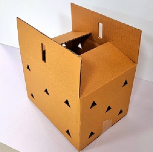 3- ply Perforated RSC type Box