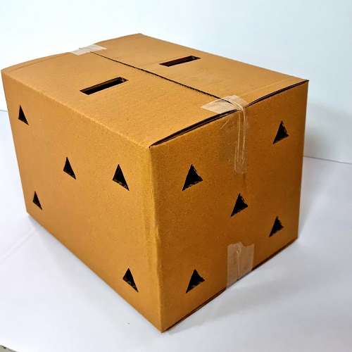 5-ply Perforated RSC type Box